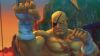 Sagat_40_BMP_jpgcopy.jpg